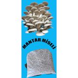 1 Kg İstiridye Mantarı Tohumu Ekim Poşeti, Kireç, Alçı Ve Buğday Kepeği- Full Paket 1 Adet