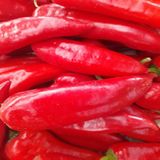 1 kg Kapya Biber, 1 kg Salatalık - 2 kg