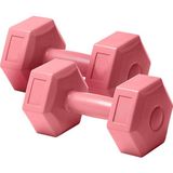 1 kg x 2 Adet Plastik Dambıl Dambıl Seti Çift Dambıl Kutulu - Pembe
