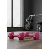 1 Kg x 2 Plastik Dambıl Seti – Ev Fitness Ağırlık Seti | Aerobik, Pilates ve Tüm Ev Egzersizleri İçin Dambıl Çifti (Pembe)