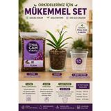 1 Litre Ithal Çam Kabuğu + 1 Adet 12 Pot Cam Saksı + 0.75 Litre Orkide Üretim Saksısı, Orkide Seti