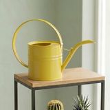 1 Litre Metal Çiçek Saksı - Modern ve Çok Amaçlı Sulama Kabı