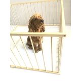 1 M2 KÖPEK ÇİTİ AHŞAP KÖPEK ALANİ