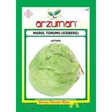 1 Paket Tohum Arzuman Aysberg Aysberk Marul Tohumu Hediye Tohumlu