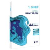 1.sınıf Hayat Bilgisi Eğitimin 4 Aşaması Teas Press Eğitim