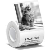 1 x Etiket B1 B21 B3S Etiket Yazıcısı ile Uyumlu, 50 x 50 mm Etiket Kağıdı, Beyaz Etiket Kağıdı Üzerine Siyah Baskı, Rulo Başına 150 Etiket (Beyaz)