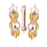 1 Yaş Balon Set, ROSE