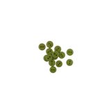 10 Adet 10 Mm Yuvarlak Düğme (fıstık Yeşili)