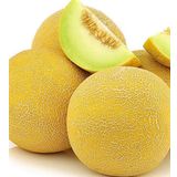 10 Adet Galia Sweet Kavun Tohumu
