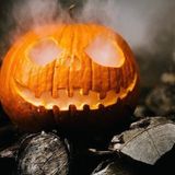 10 Adet Giant Pumpkin - Big Max Halloween Bal Kabağı Tohumu