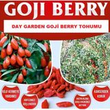 10 Adet Goji Berry Tohumu + 10 Adet Gül Tohumu G.berikb