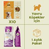 10 Adet Kito Fresh Hindi Etli Köpek Yemeği %100 Taze İçerikli Mama + 2,5 kg Yavru Köpek Maması