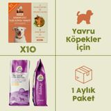 10 Adet Kito Fresh Somon Etli Köpek Yemeği %100 Taze İçerikli Mama + 2,5 kg Yavru Köpek Maması