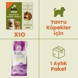 10 Adet Kito Fresh Tavuk Etli Köpek Yemeği %100 Taze İçerikli Mama + 2,5 kg Yavru Köpek Maması