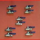 10 adet küresel vana 1/4" su arıtma toptan satış