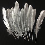 10 Adet Metalik Parlak Gümüş Kuş Tüyü Gümüş Kuş Tüyü Decor Silver Bırd Feather Gümüş Şeffaf Balon Tüyü