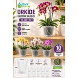 10 Adet Orkide Üretim Saksısı - Plastik Şefaf Orkide Üretimine Uygun Saksı