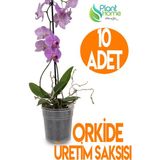 10 Adet Orkide Üretim Saksısı - Plastik Şefaf Orkide Üretimine Uygun Saksı