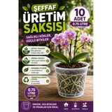 10 Adet Orkide Üretim Saksısı -Şeffaf (12 Pot)