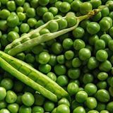 10 Adet Pea (Bezelye) Tohumu