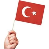 10 adet Sopalı Kağıt Küçük Türk Bayrağı 19x23cm