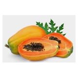 10 Adet Tohum Ithal Nadir Tropikal Bodur Papaya Agaci Tohumu Papaya Meyvesi Supriz Hediye