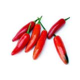 10 Adet Tohum Meksika Biberi Tohumu Acı Meksika Biberi Tohumu Jalapeno Kırmızı Süpriz Hediye Tohumlu
