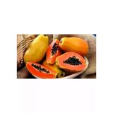 10 Adet Tohum Nadir Bulunan Tropikal Papaya Meyve Ağaç Tohumu Hediye Tohumlu