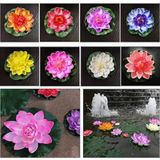 10 Adet Tohum Nadir Karışık Lotus Su Çiçeği Çiçek Tohumu