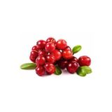 10 Adet Tohum Yaban Mersini Tohumu Cranberry Turna Yemişi Tohumu