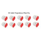 10 Adet Topraksız Dişi Fiş