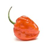 10 Adet Toum Dünyanın En Acı Biberi Habanero Biber Tohumu İthal Acı Habanero Biberi Tohumu Hediye To