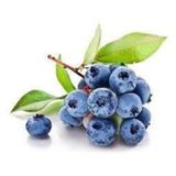 10 Adet Yaban Mersini Tohumu Blueberry Tohumu