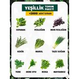 10 Çeşit Yeşillik Tohum Paketi +3000 Tohum