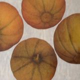 10 Dilim Kavun Tohumu(20 tohum)