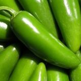 10+ Jalapeno Tam Acı Biber Tohumu N11.2810