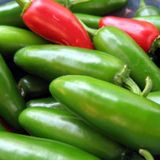 10+ Jalapeno Tam Acı Biber Tohumu N11.2811