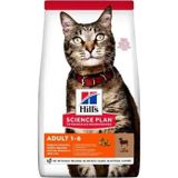 10 kg Yetişkin Kedi Maması Kuzu Etli ve Pirinçli