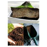 10 Litre Bonsai Toprağı %100 Organik Ve Katkısız Torf 17 Bitkinin Çözülmesinden Oluşmuş