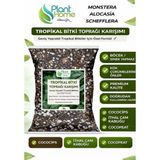 10 Litre - Tropikal Bitki Toprağı Monstera - Alocasia - Schefflera Için Sinek Yapmayan Formül