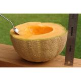 10+ Ödüllü Honey Rock Kavun Tohumu N112925