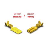 100 100 Adet Mesa Küçük Erkek ve Dişi Fiş kablo Ucu- 6.3mm