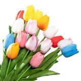 100 Adet 10 Farklı Mix Tulip Seed Lale Tohumu + 10 Adet Hediye K.renk Antoryum Çiçek Tohumu Dtlale0001988