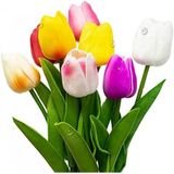 100 Adet 10 Farklı Mix Tulip Seed Lale Tohumu + 10 Adet Hediye K.renk Antoryum Çiçek Tohumu Dtlale0002004