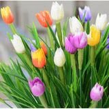 100 Adet 10 Farklı Mix Tulip Seed Lale Tohumu + 10 Adet Hediye K.renk Antoryum Çiçek Tohumu Dtlale0002020