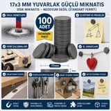 100 Adet 17x3 mm Yuvarlak Disk Mıknatıs (Ferrit)