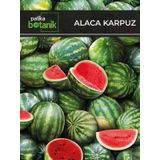 100 Adet Alaca Karpuz Tohumu