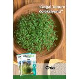 100 Adet Chia Tohumu