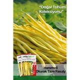 100 Adet Hanımeli Turşuluk Oturak Fasülye Tohumu