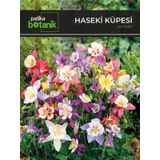 100 Adet Haseki Küpesi Çiçek Tohumu